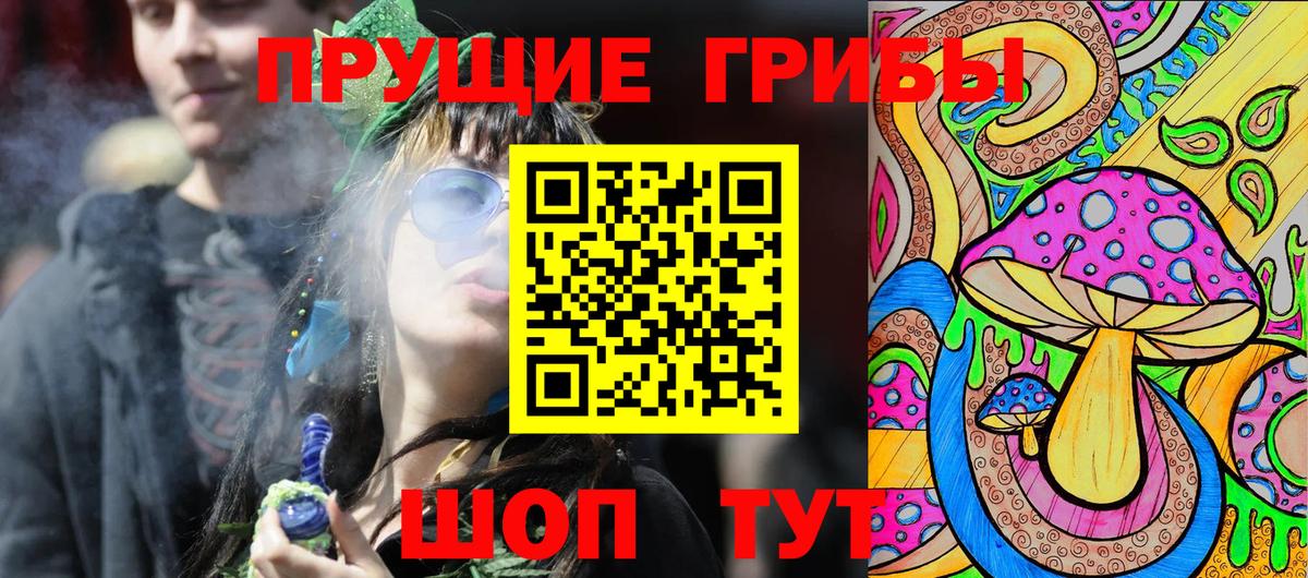 Мичуринск  купить закладку  Псилоцибиновые грибы ЛСД  Вход с VPN  Галлюциногенные грибы Psilocybine cubensis 